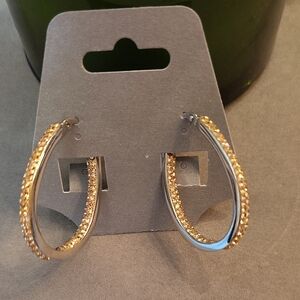 Elegant Gold and Silver Hoop Earrings